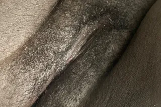 here for fun time not long time - Image 4